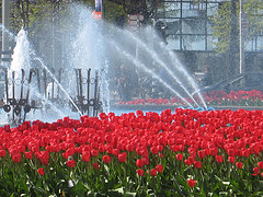 Rotterdam